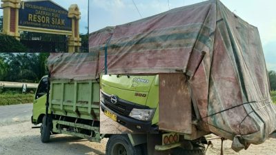 Kayu Gelondongan Mahang Diduga Ilegal Bebas Melintas di Depan Polres Siak, Pemilik Bungkam Seribu Bahasa