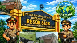 Kayu Gelondongan Mahang Diduga Ilegal Lolos di Depan Polres Siak, Pandi Blokir Nomor Wartawan: Green Policing Polda Riau Cuma Slogan?
